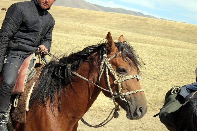 Uzbek Journeys: Kyrgyzstan: The Hermes Scarf and the Appaloosa Horse