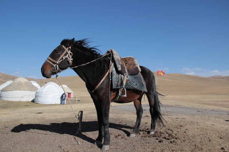 Pferdetrekking in Kirgistan